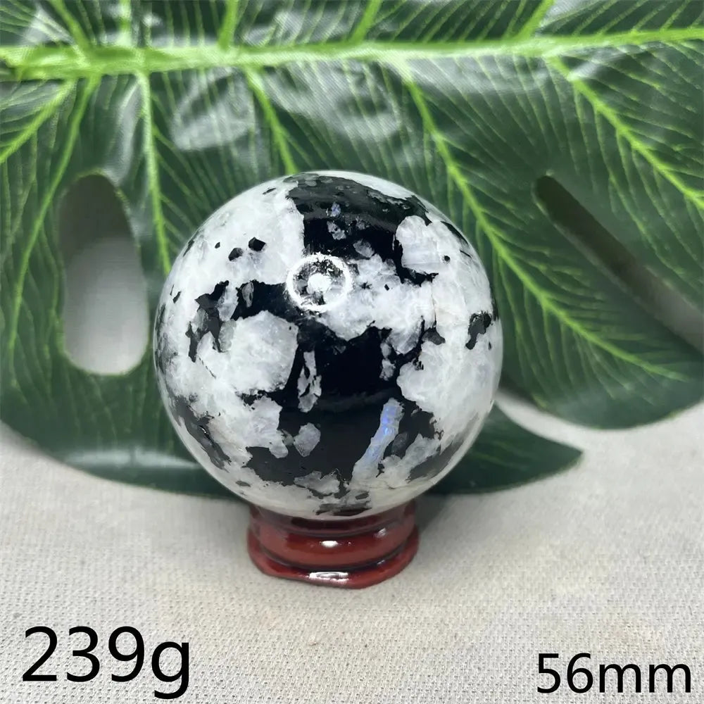 Moonstone Black Tourmaline Crystal Sphere-Spheres-Crystal Destiny-Moonstone-Weight 239g-Crystal Destiny