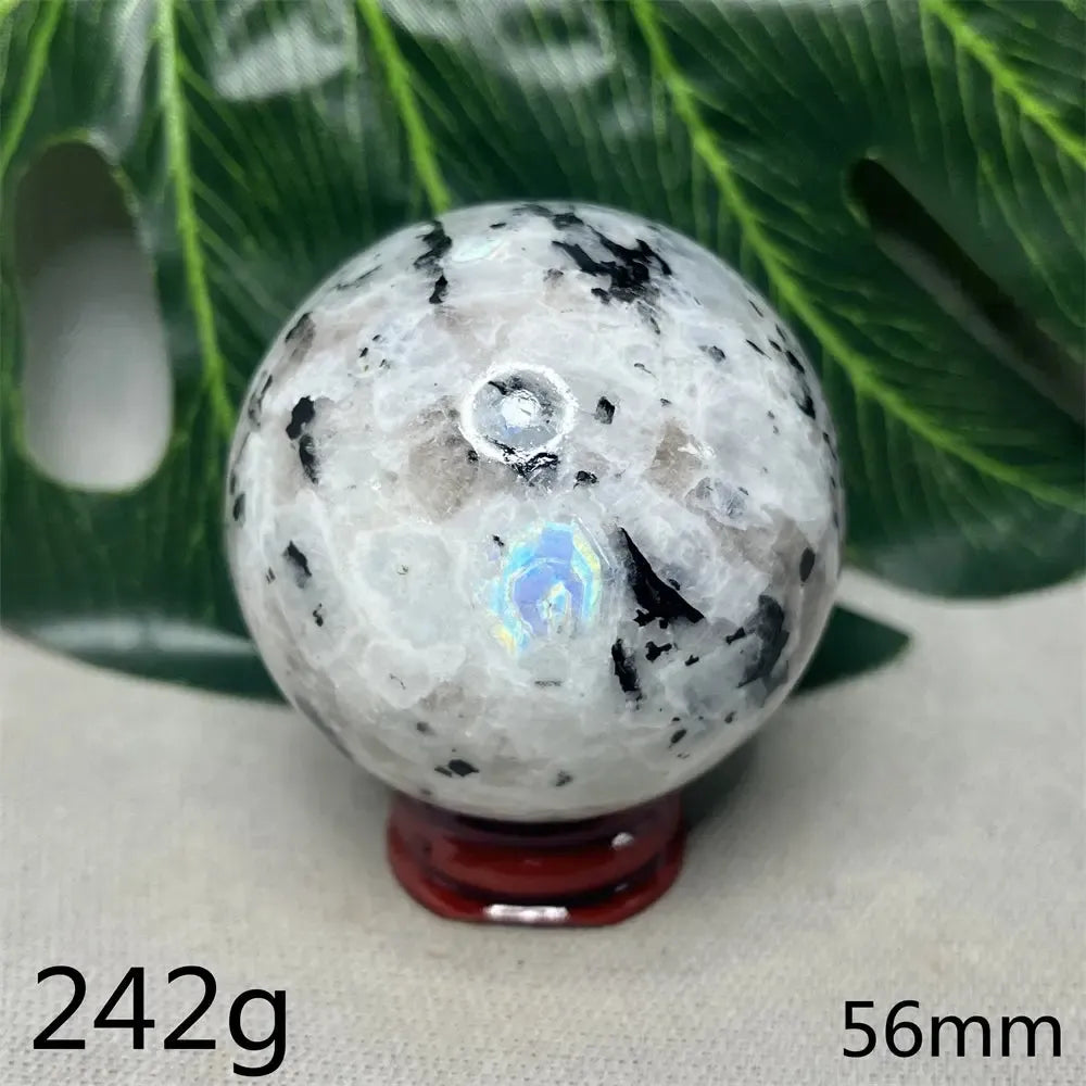 Moonstone Black Tourmaline Crystal Sphere-Spheres-Crystal Destiny-Moonstone-Weight 242g-Crystal Destiny