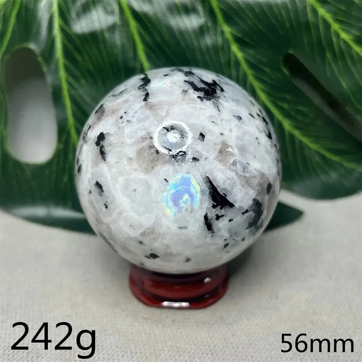 Moonstone Black Tourmaline Crystal Sphere-Spheres-Crystal Destiny-Moonstone-Weight 242g-Crystal Destiny