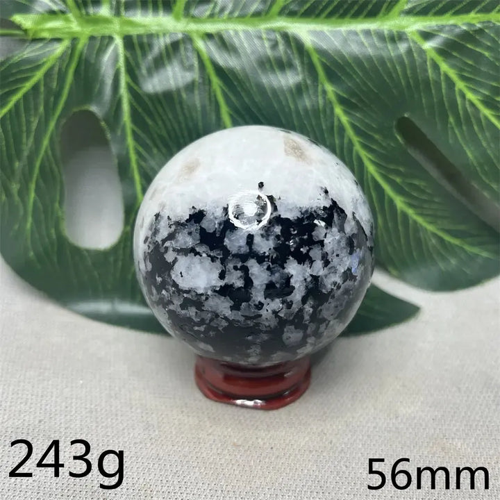 Moonstone Black Tourmaline Crystal Sphere-Spheres-Crystal Destiny-Moonstone-Weight 243g-Crystal Destiny