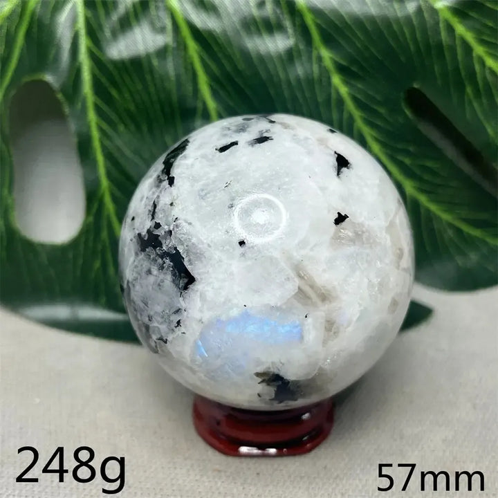 Moonstone Black Tourmaline Crystal Sphere-Spheres-Crystal Destiny-Moonstone-Weight 248g-Crystal Destiny