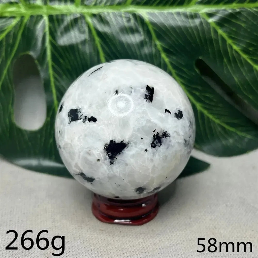 Moonstone Black Tourmaline Crystal Sphere-Spheres-Crystal Destiny-Moonstone-Weight 266g-Crystal Destiny