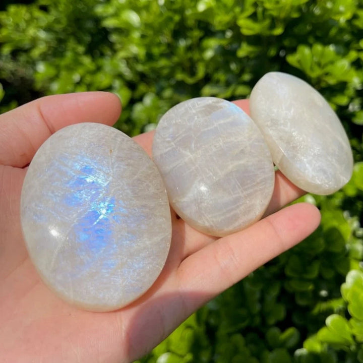 Hand-polished white moonstone palm stones with vibrant blue flash, perfect for healing, meditation, and crystal jewelry.