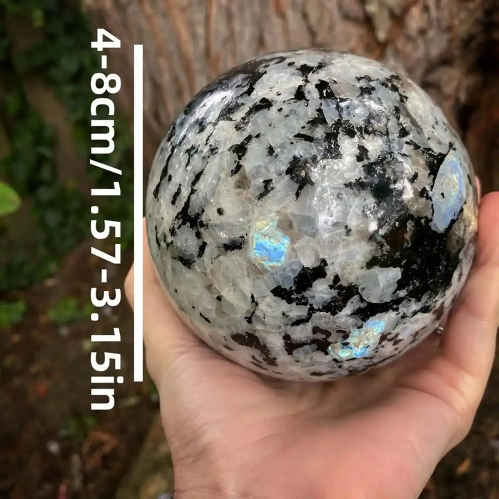 Polished Moonstone sphere featuring black inclusions and iridescent blue flashes, 4-8cm crystal ball for home decor.