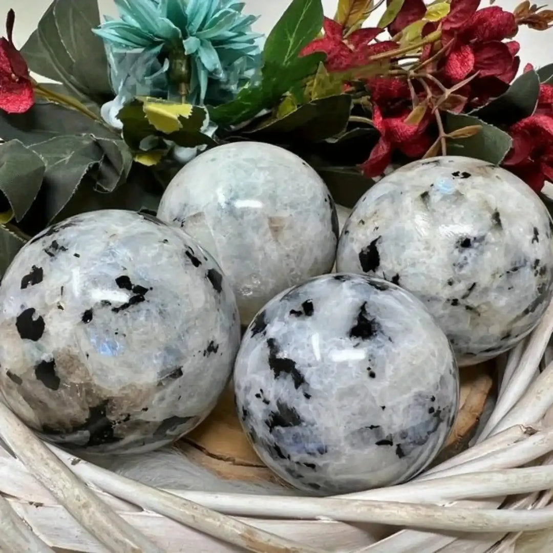 Polished Moonstone spheres featuring iridescent white tones and black inclusions, perfect for crystal healing and decor.