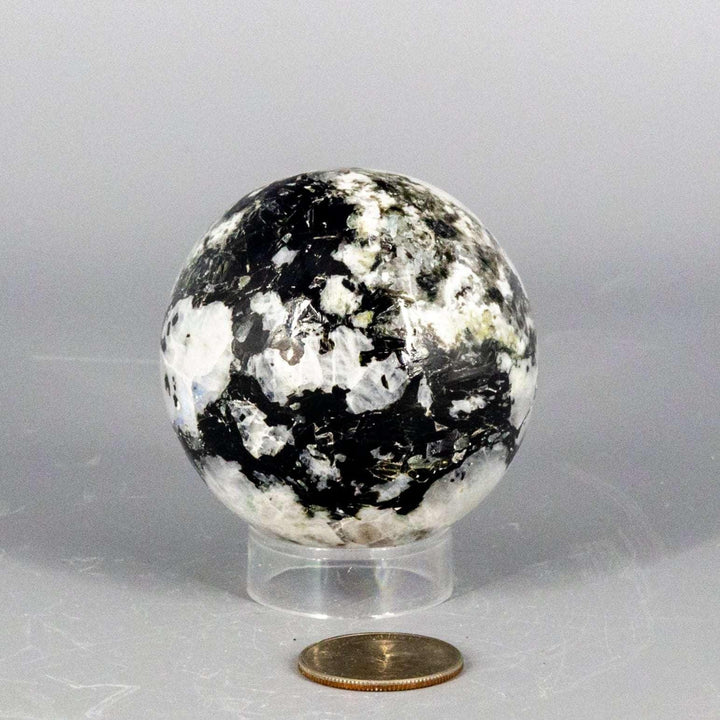 Polished Moonstone Spheres 51-58MM, showcasing unique adularescence and natural black and white patterns.
