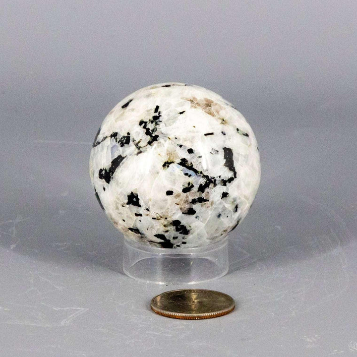 Moonstone Sphere (51-58MM) with adularescent glow, polished smooth, featuring black inclusions, on a clear stand.