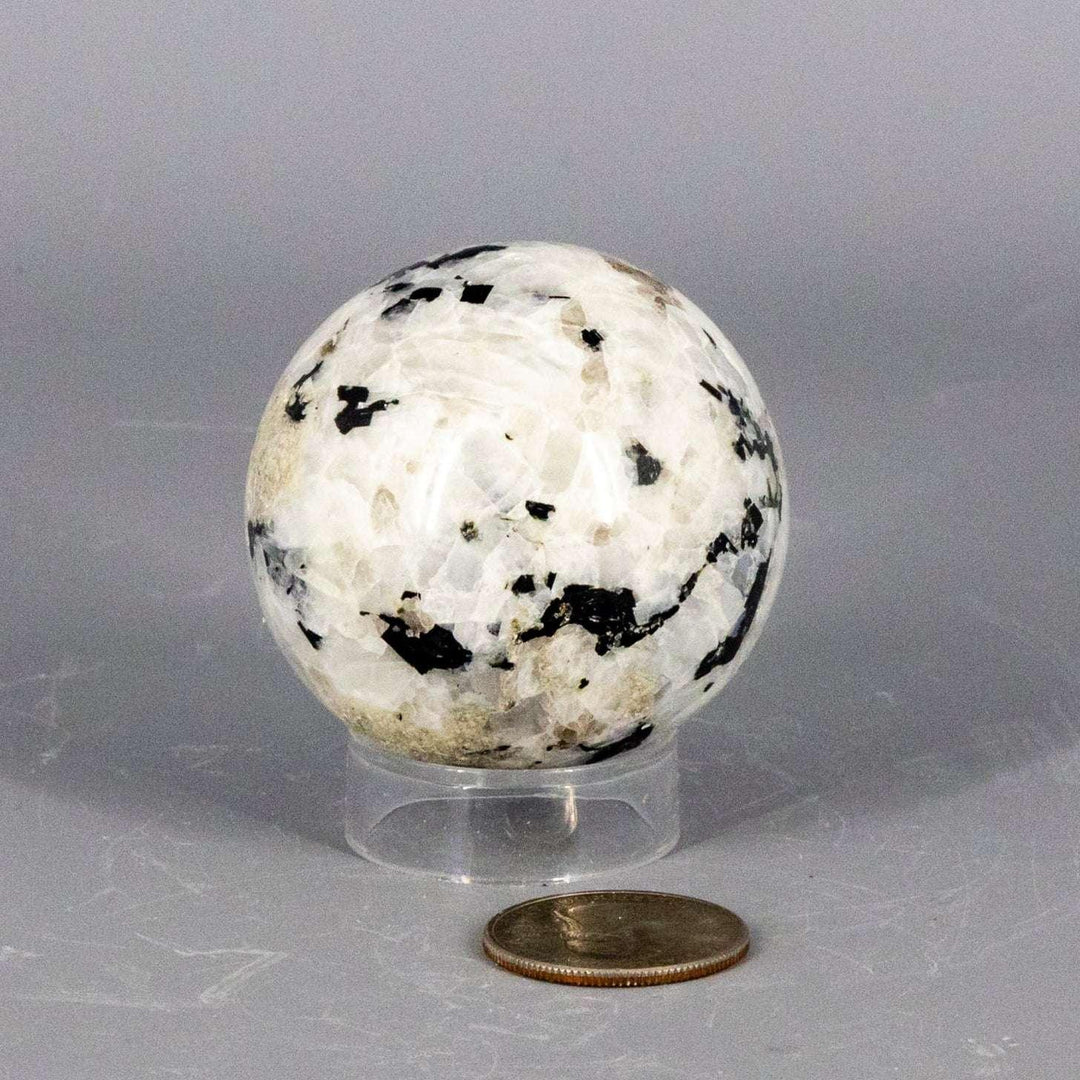 Polished Moonstone Sphere, 51-58MM, showcasing adularescent glow with white and black feldspar layers.