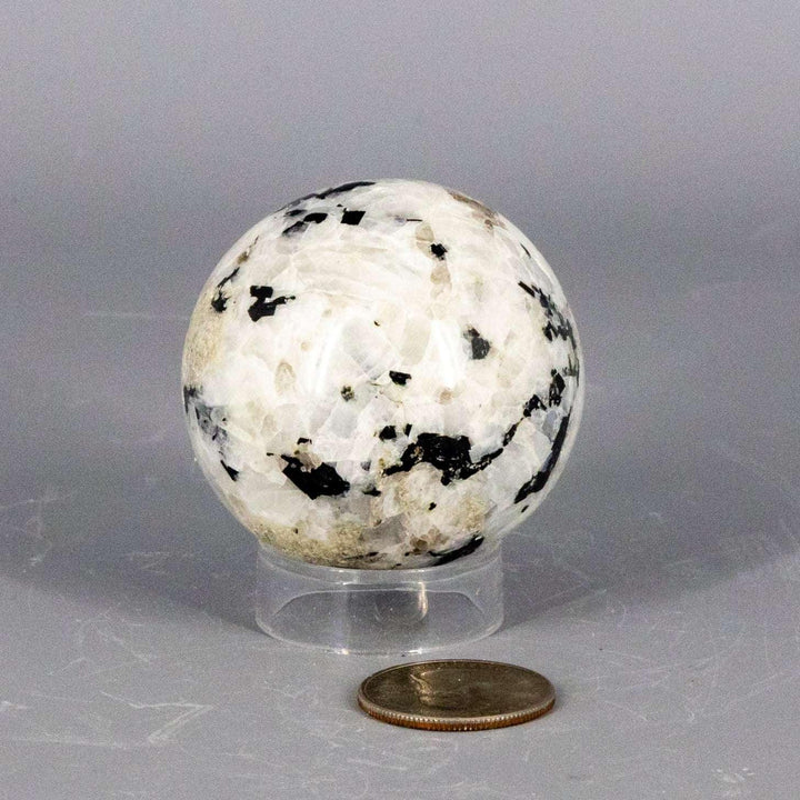 Polished Moonstone Sphere, 51-58MM, showcasing adularescent glow with white and black feldspar layers.