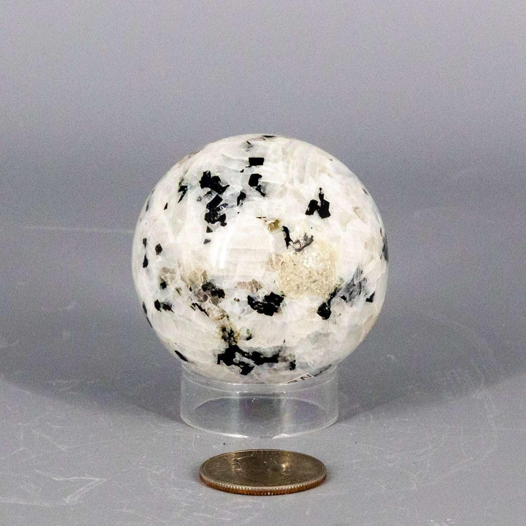 Polished Moonstone Sphere 51-58MM, exhibiting a soft, billowing glow and shifting adularescence.