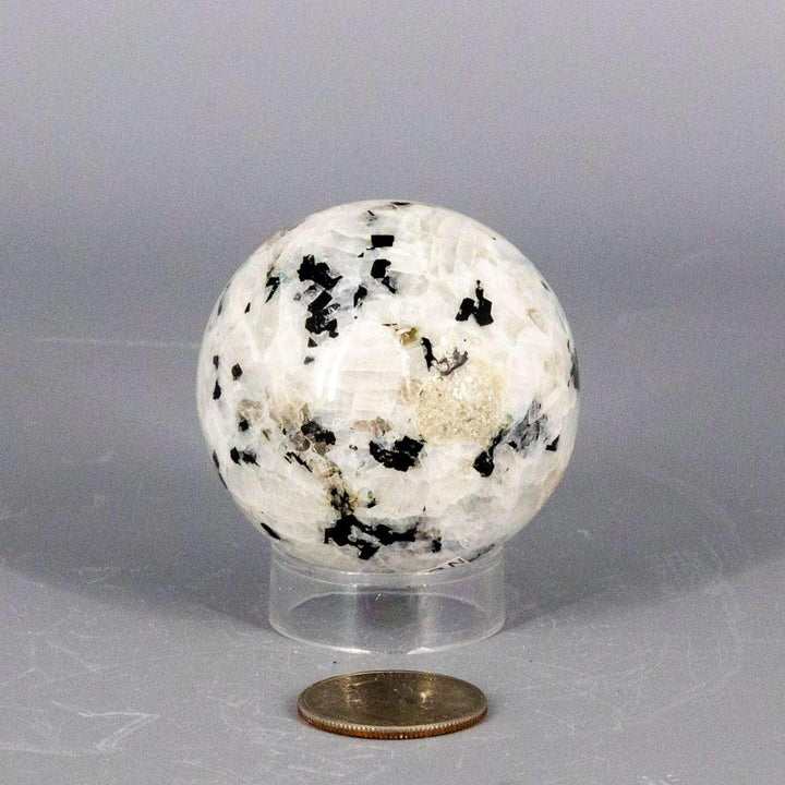 Polished Moonstone Sphere 51-58MM, exhibiting a soft, billowing glow and shifting adularescence.