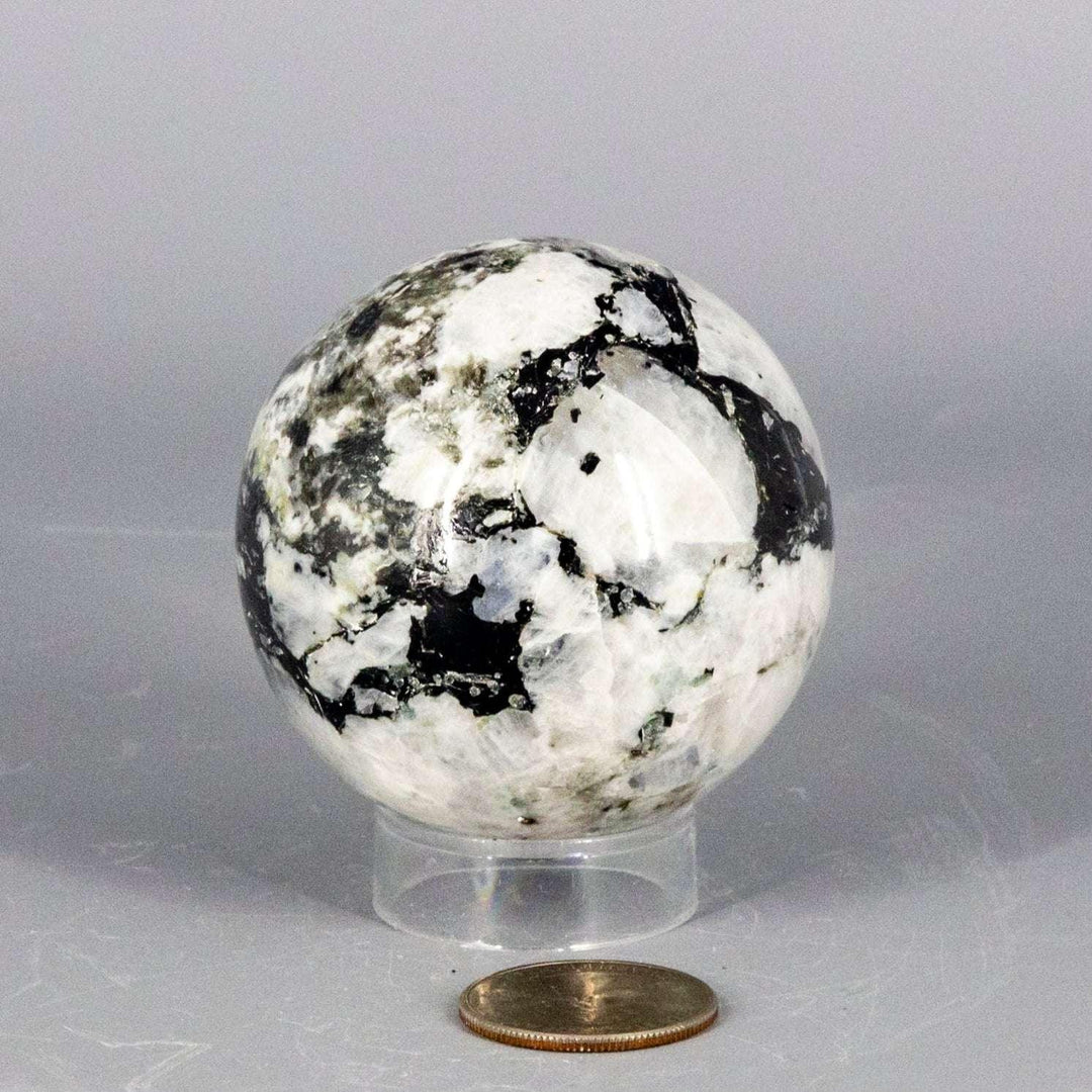 Polished Moonstone Sphere 51-58MM, showcasing its unique adularescence with shifting silver, blue, and white glow.
