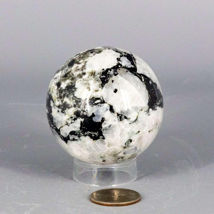 Polished Moonstone Sphere 51-58MM, showcasing its unique adularescence with shifting silver, blue, and white glow.