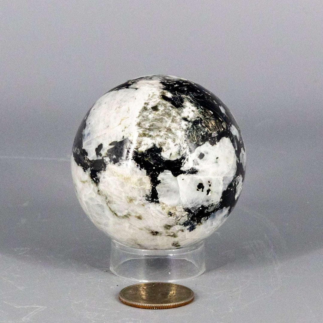 Polished Moonstone Sphere, 51-58MM, showcasing its unique adularescence with shifting silver, blue, and white glow.