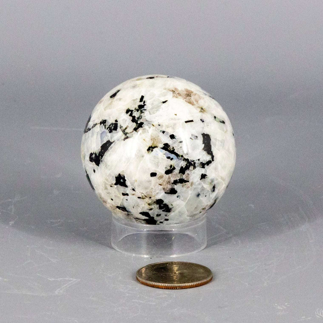 Moonstone Spheres 51-58MM-Spheres-Crystal Destiny-Moonstone-288g - 58mm-Crystal Destiny