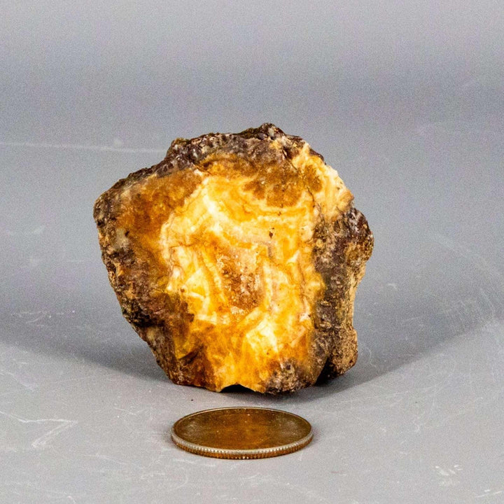 Polished Moroccan Agate Geode Slice revealing natural cream, tan, rust, and grey concentric bands.