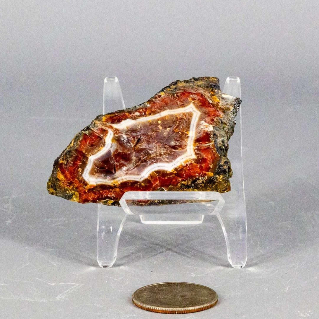 Moroccan Agate Geode Slice, showcasing natural cream, tan, rust, and grey concentric bands on a clear stand.