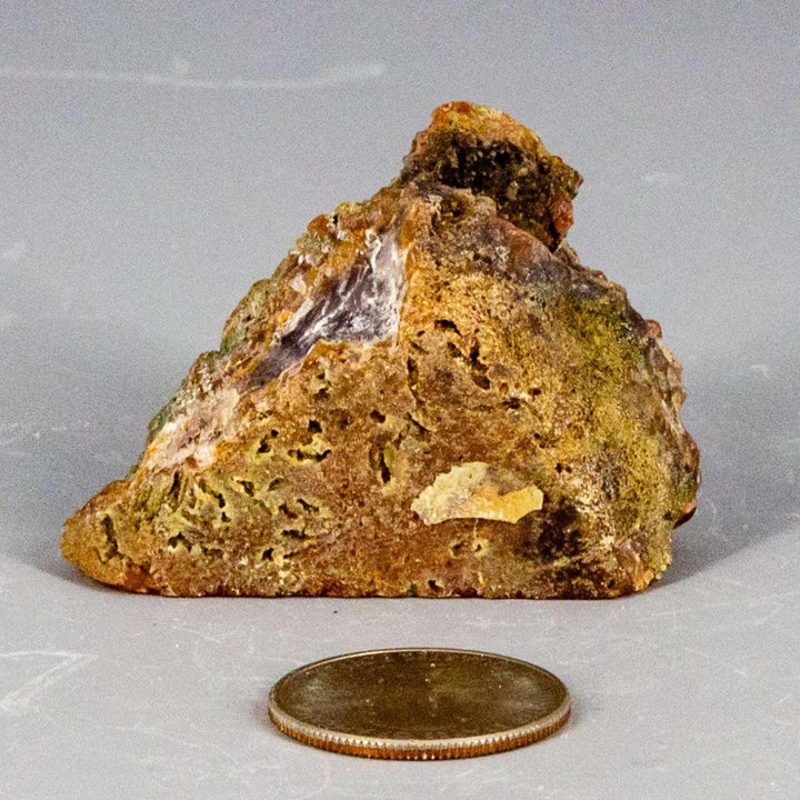 Moroccan Agate Geode Slice, a unique cross-section of geological time with natural cream, tan, rust, and grey bands.