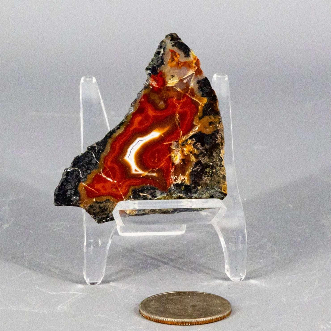 Polished Moroccan Agate Geode Slice with vibrant red, orange, and black bands, displayed on a stand.