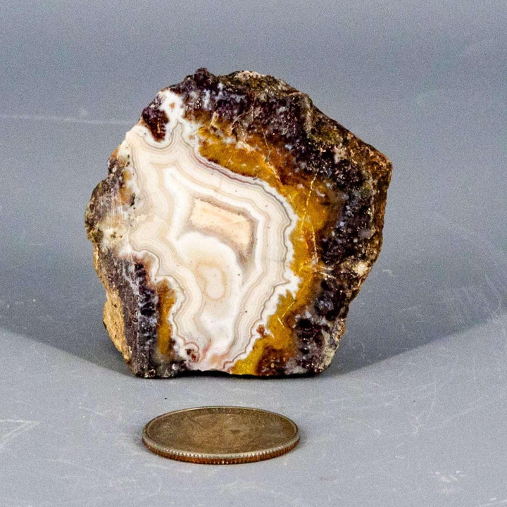 Moroccan Agate Geode Slice, showcasing natural cream, tan, rust, and grey concentric bands.