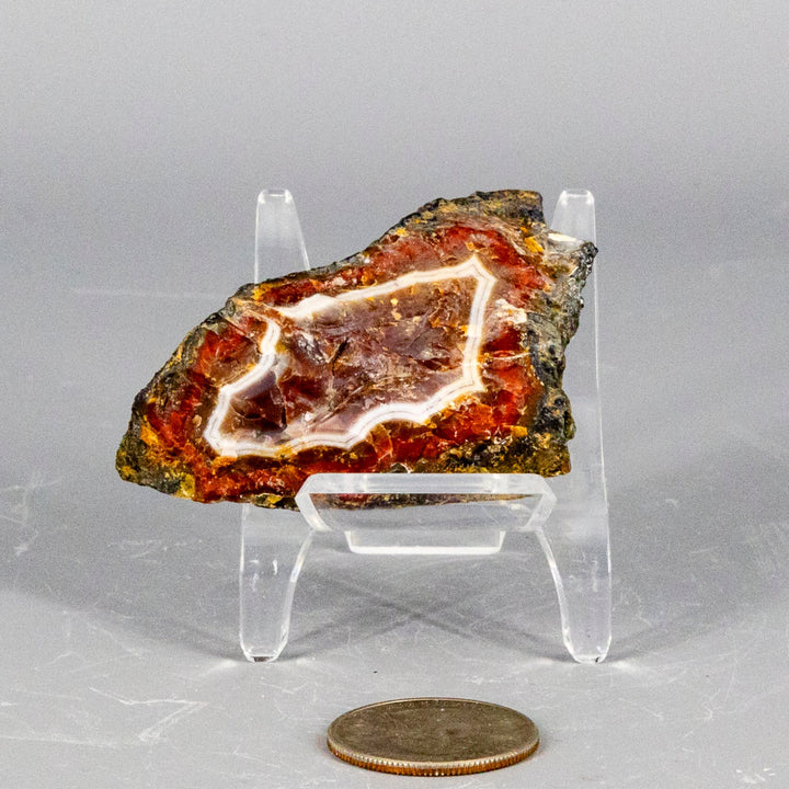 Moroccan Agate Geode Slice-Geodes-Crystal Destiny-Moroccan Agate-84g - 1.00" x 1.50"-Crystal Destiny