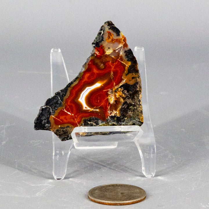 Moroccan Agate Geode Slice-Geodes-Crystal Destiny-Moroccan Agate-38g - 2.00" x 1.75"-Crystal Destiny