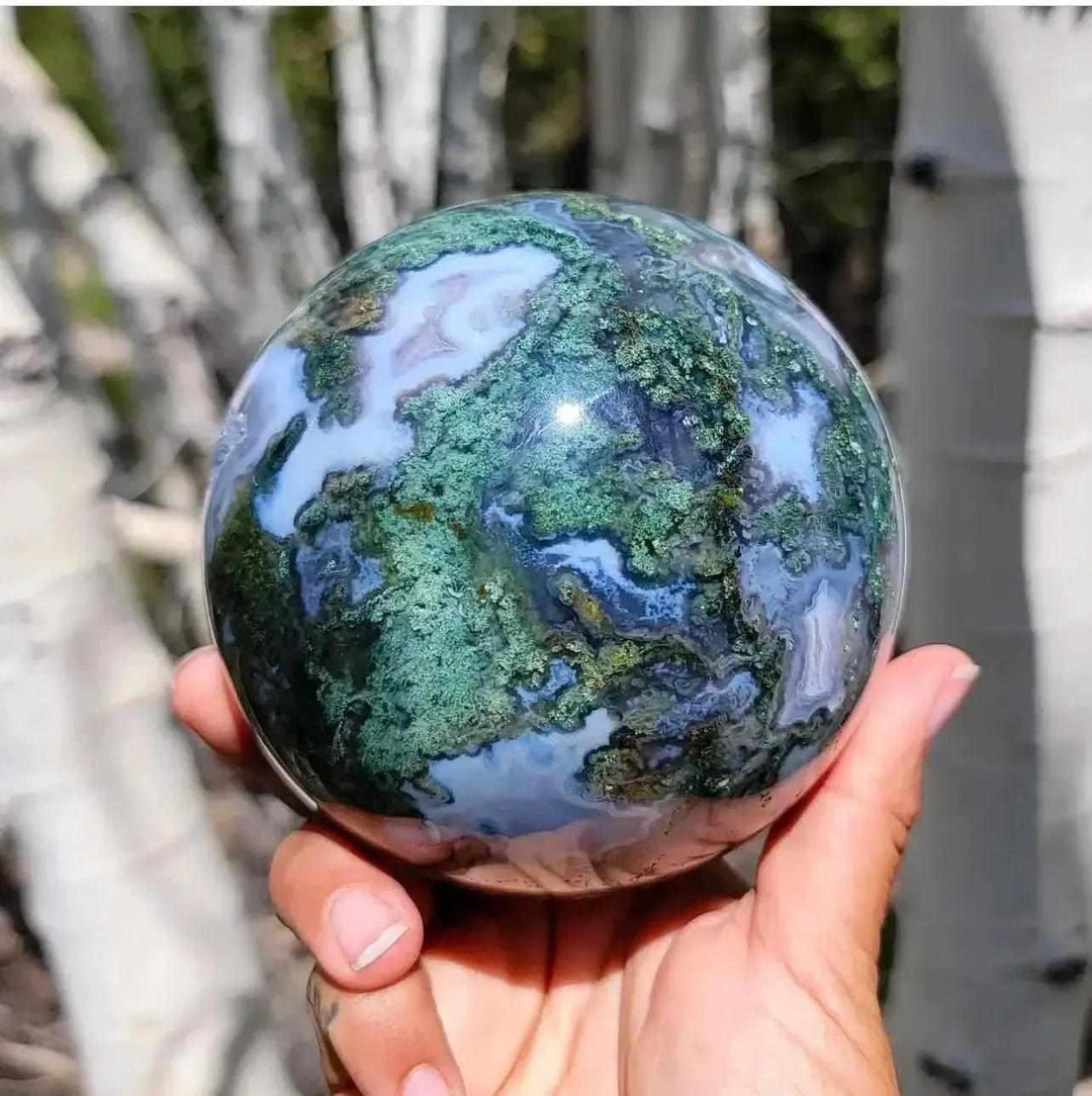 Moss Agate Crystal Sphere: Hand-polished sphere with lush green moss-like inclusions and milky quartz, held against white tree trunks.