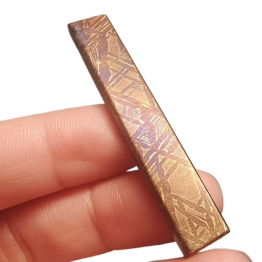 Muonionalusta Iron Meteorite Slice