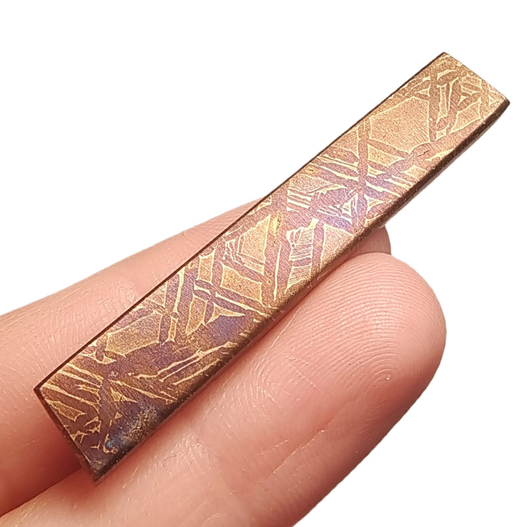 Muonionalusta Iron Meteorite Slice