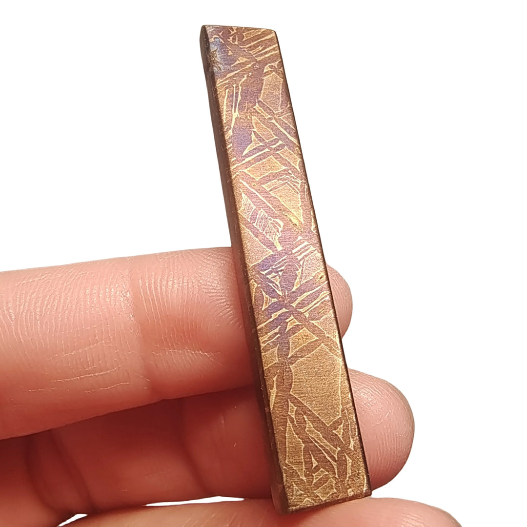 Muonionalusta Iron Meteorite Slice