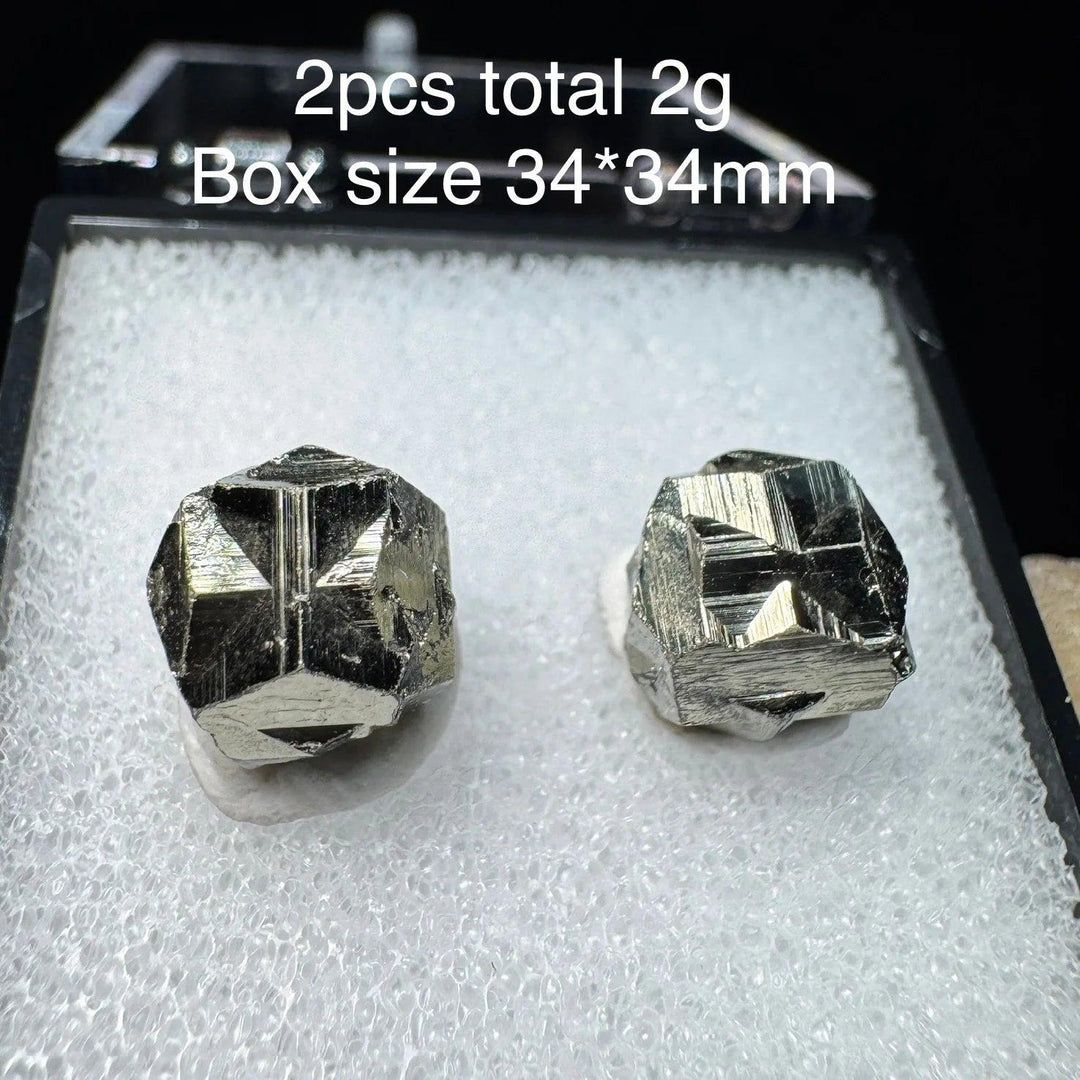 Two raw Colombia Cross Pyrite crystals with metallic gold luster in a 34mm display box, perfect for healing and home decor.