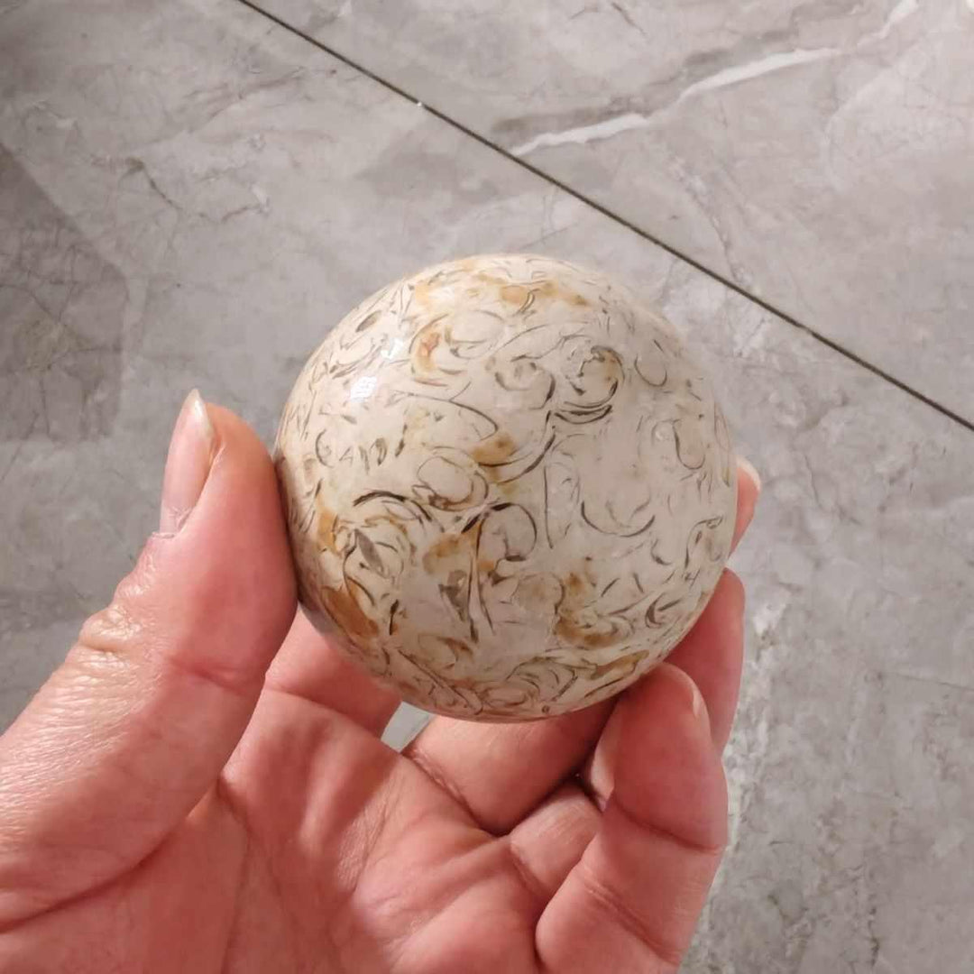 Polished agatized dinosaur bone sphere with intricate tan and grey fossilized cellular patterns held in a hand.