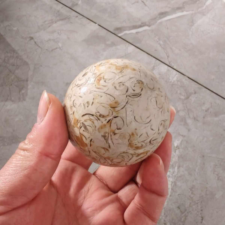 Polished agatized dinosaur bone sphere with intricate tan and grey fossilized cellular patterns held in a hand.