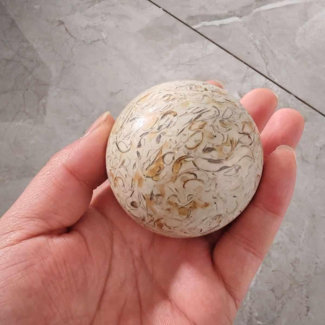 Polished agatized dinosaur bone sphere with intricate tan and grey fossilized cellular patterns held in a palm.