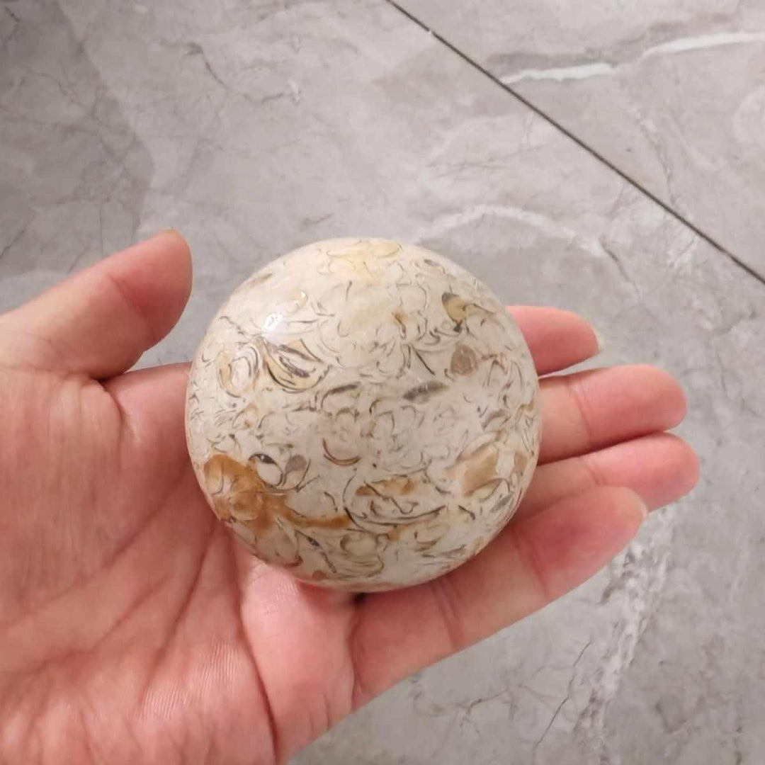 Natural dinosaur bone agatized crystal sphere with tan and grey geometric fossil patterns held in a palm for energy.