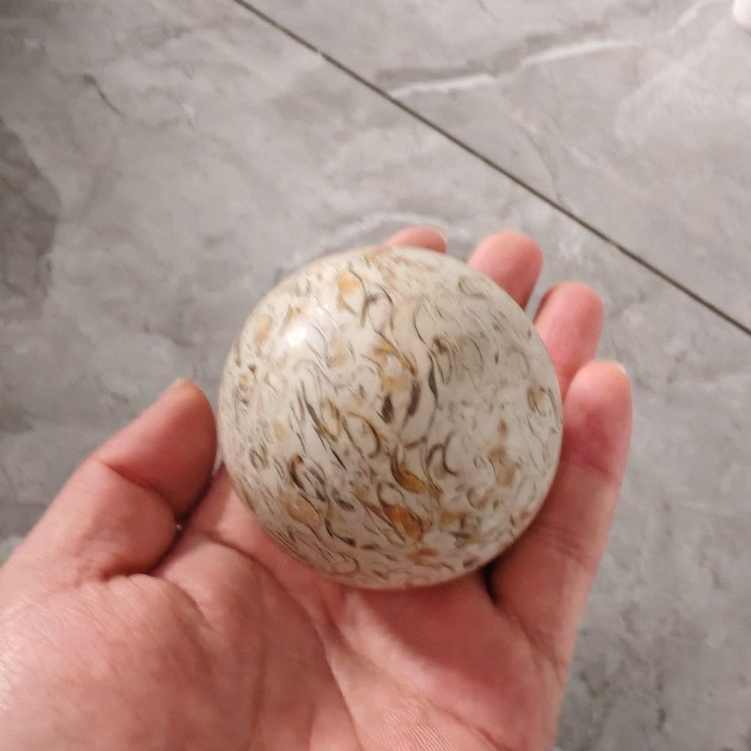 Natural dinosaur bone agatized crystal sphere with tan and grey geometric fossil patterns held in a palm for energy.