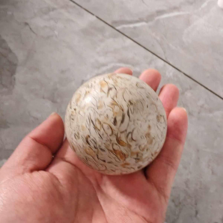 Natural dinosaur bone agatized crystal sphere with tan and grey geometric fossil patterns held in a palm for energy.