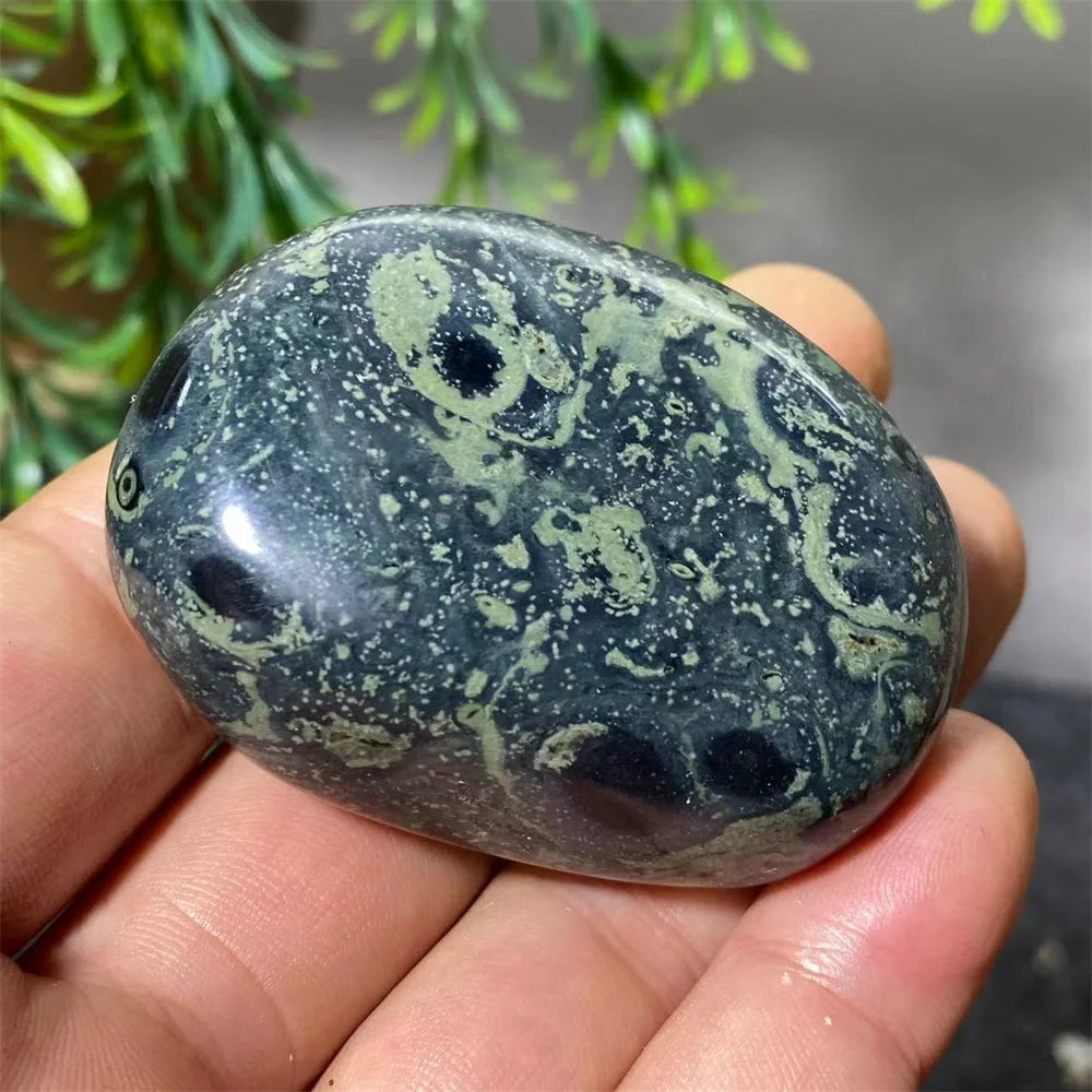 Polished Kambaba Jasper palm stone with dark green forest tones and unique fossilized orbicular patterns for grounding.