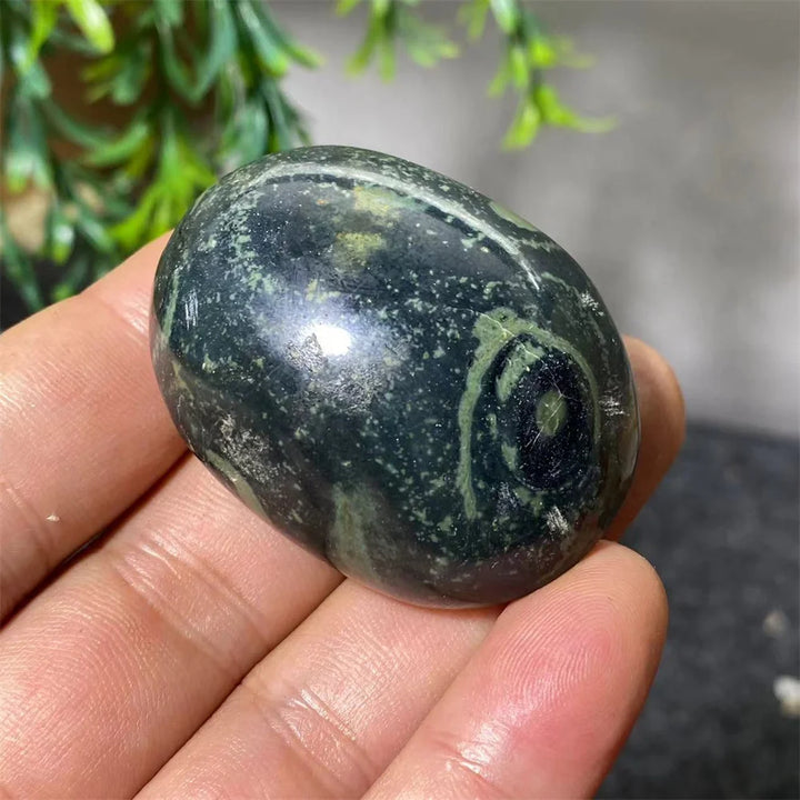 Polished Kambaba Jasper palm stone with deep green forest tones and ancient orbicular stromatolite fossil patterns.