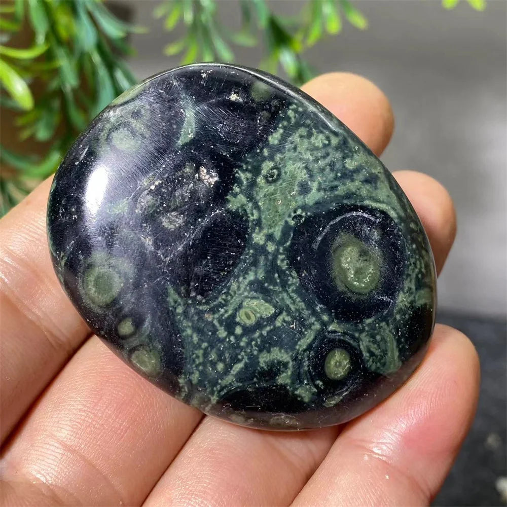 Polished Kambaba Jasper palm stone with dark green forest tones and unique fossilized orbicular patterns for grounding.
