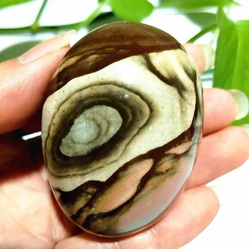 Polished polychrome jasper palm stone with earthy rust and cream bands, perfect for grounding meditation and healing.