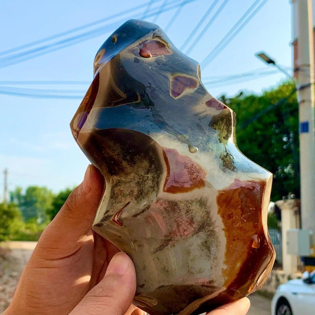 Polished dark brown Ocean Jasper flame freeform with red and cream orbicular patterns, held outdoors.