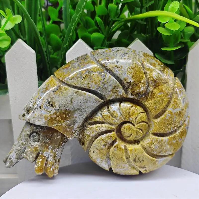 Polished Ocean Jasper snail conch sculpture featuring vibrant multicolor orbs for healing, prosperity, and joy.