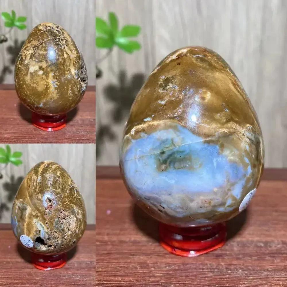 Polished Ocean Jasper crystal egg from Crystal Destiny, featuring earthy browns, blues, and natural textures.