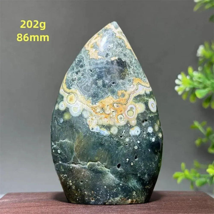 Polished Ocean Jasper freeform orbicular stone, 202g, 86mm, with green, cream, and rust patterns for joy and balance.