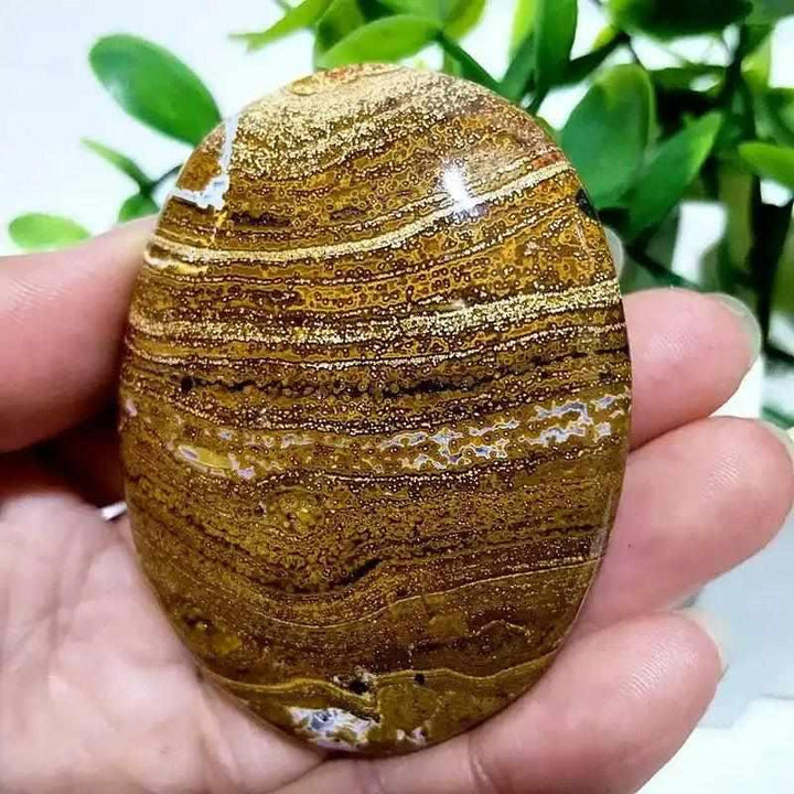 Polished Ocean Jasper palm stone with swirling green and cream orbs, perfect for Heart Chakra healing and relaxation.