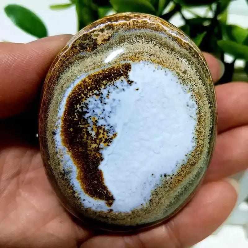 Polished Ocean Jasper palm stone with cream and green orbicular swirls, perfect for heart chakra healing and relaxation.