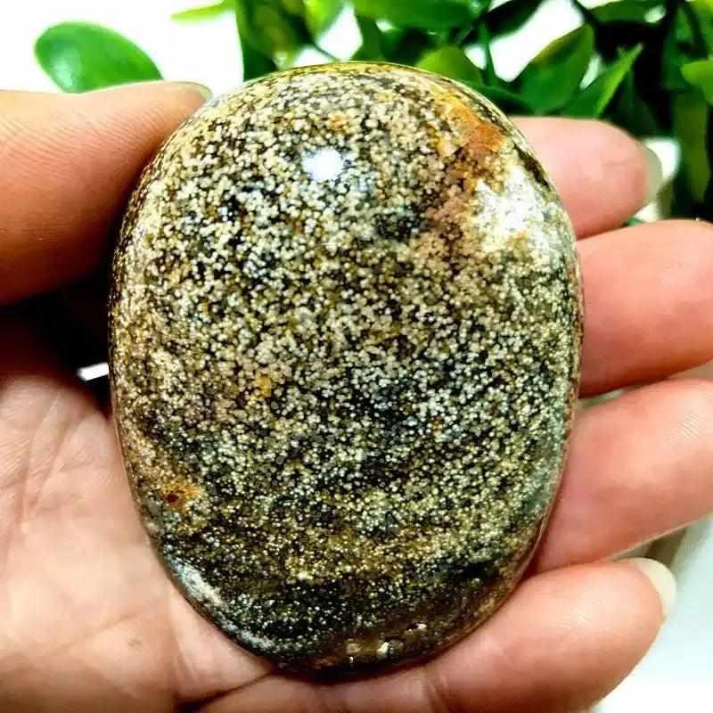 Polished Ocean Jasper palm stone with green and cream orbicular patterns, perfect for Heart Chakra healing and meditation.