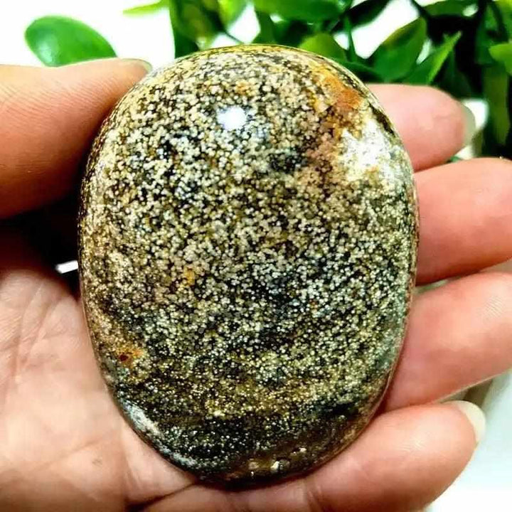 Polished Ocean Jasper palm stone with green and cream orbicular patterns, perfect for Heart Chakra healing and meditation.