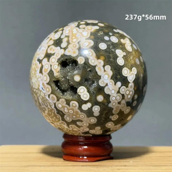 Ocean Jasper sphere from Crystal Destiny, 56mm, with green, white, cream orbicular patterns and a geode cavity.
